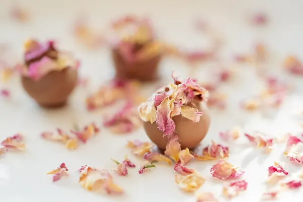 Casino Haiti Win Android/iOS App